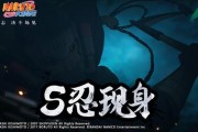 最新忍法帖忍者技能爆料,揭秘最新忍者技能，神秘力量即将揭晓！