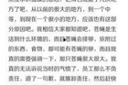 染柒最新爆料,揭秘娱乐圈最新热点事件内幕