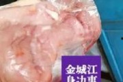 猪肉爆料视频大全集最新