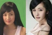 明星爆料整容视频大全最新,明星整容真相大曝光，视频大全揭秘美丽背后的秘密