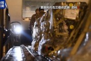 俄乌大鱼爆料视频大全,大鱼爆料视频大全深度解析
