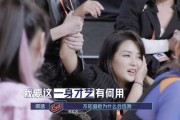 叶璇最新爆料何洁小说,何洁小说背后的惊人真相