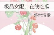 我的吃瓜女主推文小说免费阅读,免费阅读小说之旅