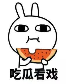 娱乐吃瓜君干了什么,揭秘娱乐圈背后的那些事儿