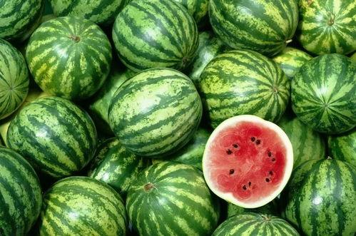 吃瓜视频最全观看