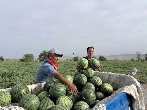 娱乐713吃瓜最新入口,最新入口带你一网打尽娱乐圈风云