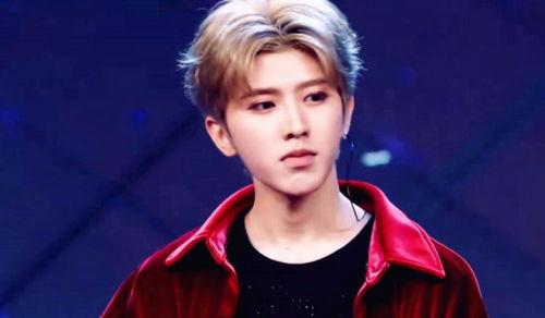 娱乐明星团与娱乐吃瓜君,揭秘娱乐圈幕后故事