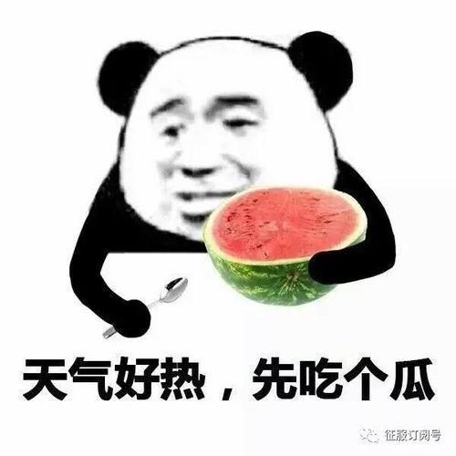 娱乐吃瓜酱安全气囊吐槽,娱乐吃瓜酱的吐槽与反思